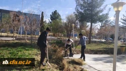 مراسم روز درختکاری در دانشگاه فرهنگیان استان سیستان وبلوچستان برگزار شد