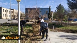 مراسم روز درختکاری در دانشگاه فرهنگیان استان سیستان وبلوچستان برگزار شد