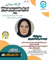 کارگاه مجازی:تربت جنسی کودکان و نوجوانان 2