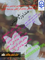 مشاوره تلفنی 2