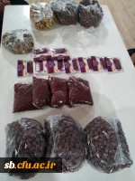 مراسم بزرگداشت میلاد حضرت فاطمه (س) وروز زن 2