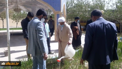 کاشت نهال به مناسبت هفته منابع طبیعی وروز درختکاری توسط دانشجویان پردیس های استان