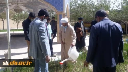 کاشت نهال به مناسبت هفته منابع طبیعی وروز درختکاری توسط دانشجویان پردیس های استان 4