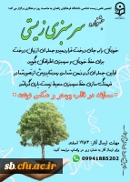 جشنواره سر سبزی زیستی 2