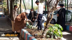 روز درختکاری 2