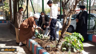 روز درختکاری