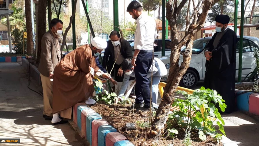 روز درختکاری 2