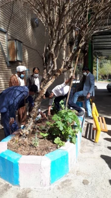 روز درختکاری 3