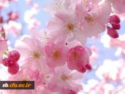 تبریک سال نو 2