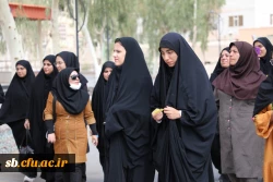برگزاری همایش پیاده روی ویژه بانوان به مناسبت هفته تربیت بدنی و ورزش 8