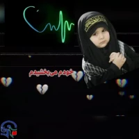  پویش سفیران حسینی 6