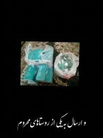  پویش سفیران حسینی 15